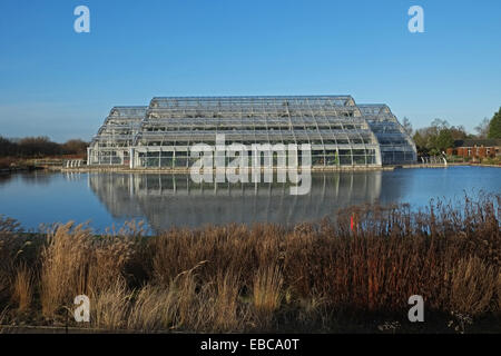 Serre, Wisley, Surrey, Angleterre. Ouvert en 2007 il est à 12 mètres (40 pieds) de haut avec trois zones climatiques. Banque D'Images