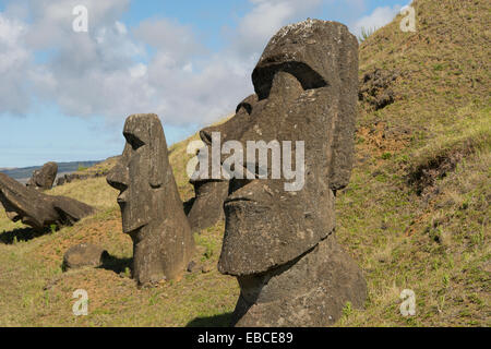 Le Chili, l'île de Pâques ou Rapa Nui. Parc national de Rapa Nui, site historique de Rano Raraku "la carrière". Banque D'Images