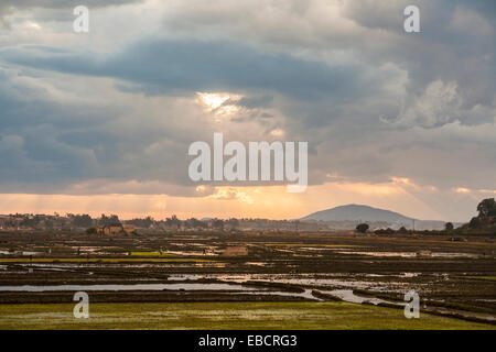 Vue panoramique de rizières inondées à la périphérie d'Antananarivo, ou Tana, capitale de Madagascar le soir au coucher du soleil Banque D'Images