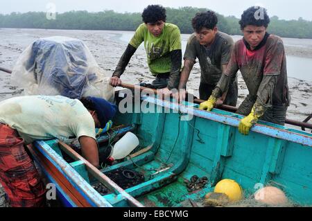 Les ramasseurs de coquillages noir - mangroves dans PUERTO PIZARRO . Ministère de Tumbes .PÉROU Banque D'Images