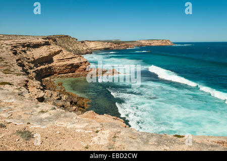 Falaises de Cummings Lookout, péninsule d'Eyre, SA, Australie Banque D'Images