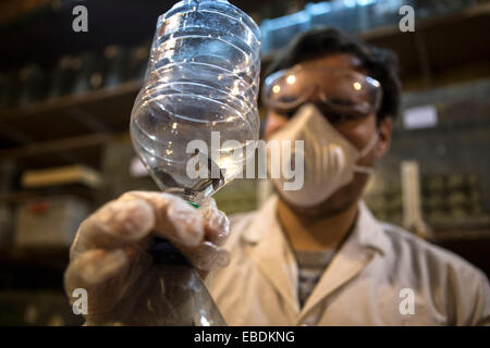 Buenos Aires, Argentine. 28 Nov, 2014. Matias Olmos, étudiant de sciences biologiques, packs des cafards dans la pisciculture d'insectes de biologiste Daniel Caporaletti, à Buenos Aires, capitale de l'Argentine, le 28 novembre 2014. L'écloserie fonctionne comme un fournisseur de nourriture vivante pour reptiles, oiseaux, poissons et autres animaux insectivores. Daniel Caporaletti travaille actuellement sur un projet de reproduction des insectes pour la consommation humaine. © Martin Zabala/Xinhua/Alamy Live News Banque D'Images