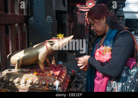 Adorateur rend offre en un lieu de culte à Durbar Square, Katmandou, Népal Banque D'Images