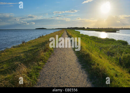 Dyke Path, Sulsdorfer Wiek avec Sun, l'été, l'Orth, Baltique île de Fehmarn, Schleswig-Holstein, Allemagne Banque D'Images