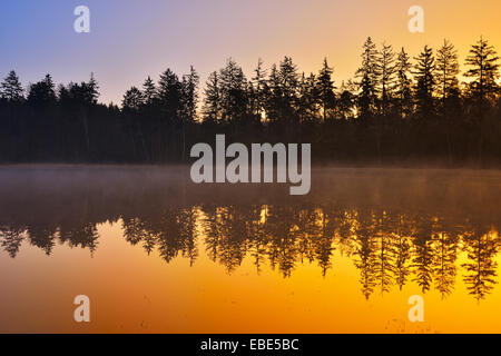 Lac de la forêt au début du printemps, Breitenbuch, Amorbach, Odenwald, Basse Franconie, Bavière, Allemagne Banque D'Images