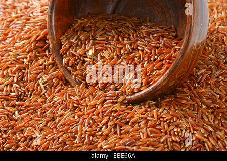 Grains de riz rouge de Camargue (biologiques cultivés dans les milieux humides du sud de la France) Banque D'Images