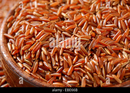 Grains de riz rouge de Camargue (biologiques cultivés dans les milieux humides du sud de la France) Banque D'Images