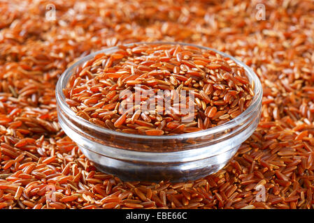 Grains de riz rouge de Camargue (biologiques cultivés dans les milieux humides du sud de la France) Banque D'Images