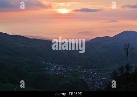 Vue du plateau de Dieng Gunung Sikunir au lever du soleil, Java, Indonésie Banque D'Images