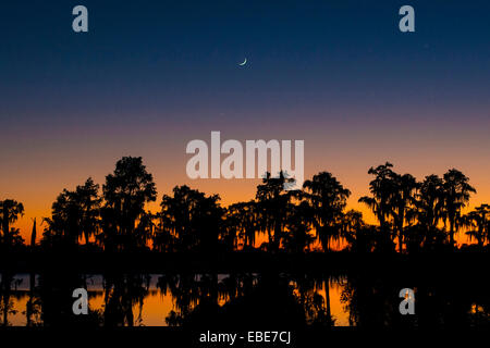 Coucher du soleil au lac pic montre Dixie dans Le Lac Louisa National Park à Clermont en Floride Banque D'Images