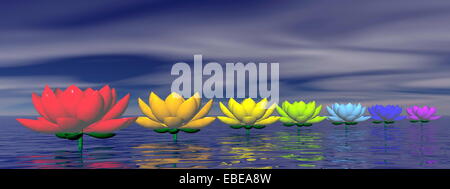 Lily fleurs avec couleurs chakra sur l'eau par nuit Banque D'Images