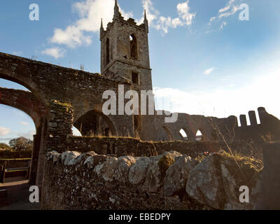 Baltinglass Abbey dans le comté de Wicklow, Irlande Banque D'Images
