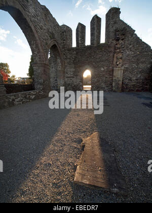 Baltinglass Abbey dans le comté de Wicklow, Irlande Banque D'Images