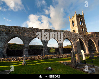 Baltinglass Abbey dans le comté de Wicklow, Irlande Banque D'Images