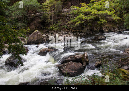 L'Afon (rivière) Glaslyn passe par le col de Beddgelert dans Aberglaslyn près de Snowdonia, le Nord du Pays de Galles. Banque D'Images