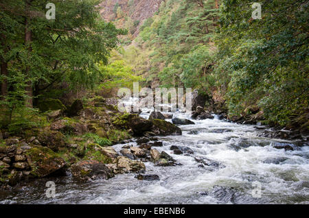 L'Afon (rivière) Glaslyn passe par le col de Beddgelert dans Aberglaslyn près de Snowdonia, le Nord du Pays de Galles. Banque D'Images