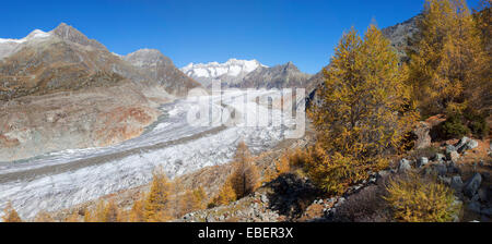 Glacier d'Aletsch, en Suisse Banque D'Images