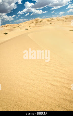 Champ de dunes de sable Samalayuca Banque D'Images