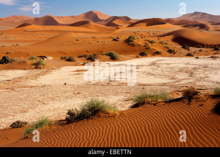 Les patrons des dunes de sable - Sossusvlei - Parc national du Namib-Naukluft National Park, Namibie, Afrique Banque D'Images