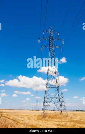 Ligne à haute tension en Thessalie, Grèce Banque D'Images