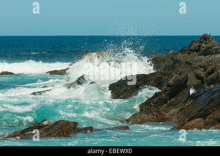 Vagues à West Beach, Fitzgerald River NP, WA, Australie Banque D'Images