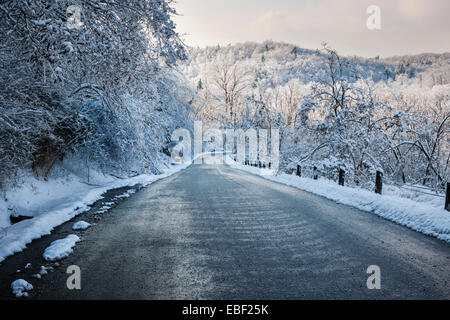 Route à travers la forêt d'hiver glaciales après tempête et neige. L'Ontario, Canada. Banque D'Images