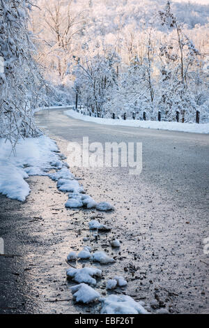 Par la route d'hiver forêt recouverte de neige glacée après tempête et neige. L'Ontario, Canada. Banque D'Images