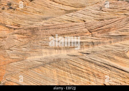 Striation sur la paroi rocheuse d'une falaise dans Zion National Park, Utah. Banque D'Images