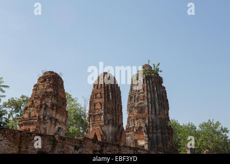 Dans les temples en ruines Wat Mahathat, Ayutthaya, Thaïlande Banque D'Images