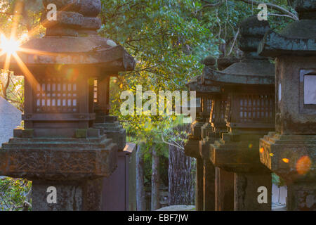 Lanternes en pierre à Kasuga Taisha Temple (Site du patrimoine mondial de l'UNESCO) au crépuscule, Nara, Japon, Kansai Banque D'Images