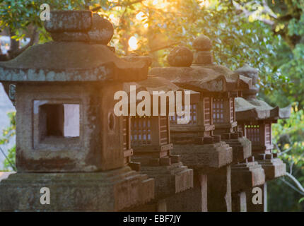 Lanternes en pierre à Kasuga Taisha Temple (Site du patrimoine mondial de l'UNESCO) au crépuscule, Nara, Japon, Kansai Banque D'Images