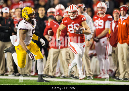 29 novembre 2014 : Wisconsin Badgers Alex wide receiver Erickson # 86 exécute 31 yards après la capture au cours de la NCAA Football match entre les Minnesota Golden Gophers et le Wisconsin Badgers au Camp Randall Stadium à Madison, WI. Le Wisconsin a battu Minnesota 34-24. John Fisher/CSM Banque D'Images