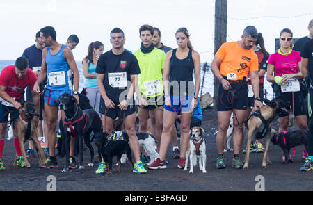 Canicross/course fun run en Espagne Banque D'Images