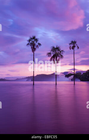 Matin coloré en Canaima, Venezuela. Banque D'Images