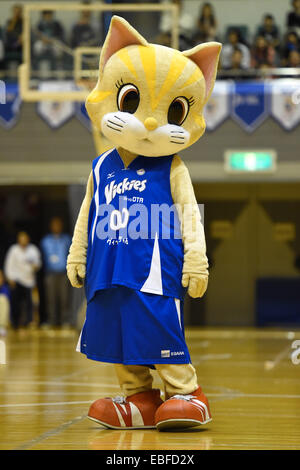 Nerima Hikarigaoka Gymnase, Tokyo, Japon. 30Th Nov, 2014. (Vickies), le 30 novembre 2014 - Basket-ball : Ligue entre 14 et 15 W - 108 47 Vickies Haneda vague rouge Fujitsu à Nerima Hikarigaoka Gymnase, Tokyo, Japon. © AFLO SPORT/Alamy Live News Banque D'Images