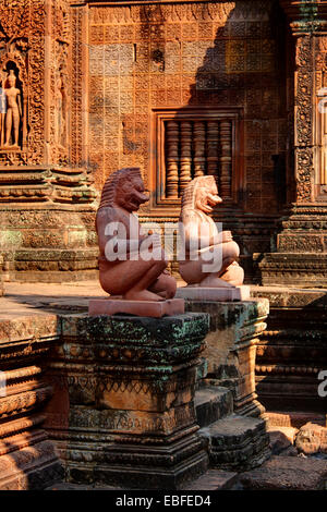 Les tuteurs des statues de Banteay Srei, Angkor Wat, au Cambodge Banque D'Images