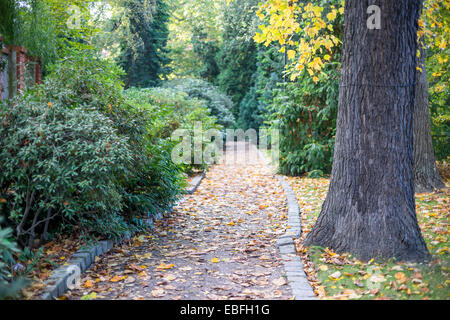 Jardins botaniques de Wroclaw en automne Banque D'Images