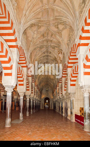 La CATHÉDRALE DE CORDOUE LA MOSQUÉE MEZQUITA ou deux rangées de colonnes et arcades soutenant un plafond voûté Banque D'Images