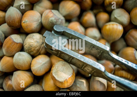 Les noisettes et les vieux nutcracker Banque D'Images