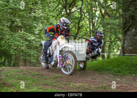 Side-car de course Banque D'Images