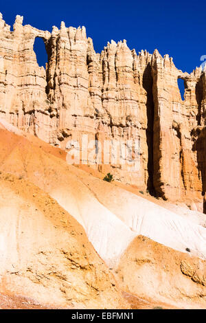 Mur de fenêtres. Bryce Canyon National Park, Utah, USA. Banque D'Images