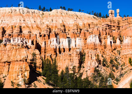 Le marteau de Thor et d'autres cheminées. Bryce Canyon National Park, Utah, USA. Banque D'Images