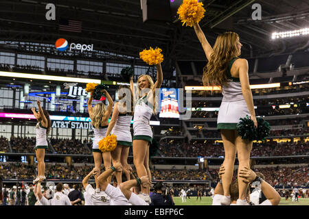 29 novembre 2104 : ours Baylor cheerleaders durant la NCAA football match entre l'Ours et le Baylor au Texas Tech Red Raiders chez AT&T Stadium à Arlington, TX. Les ours défait les Red Raiders 48-46. Banque D'Images