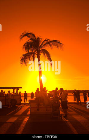 Les touristes REGARDANT LE COUCHER DU SOLEIL MALLORY SQUARE OLD TOWN DISTRICT HISTORIQUE DE KEY WEST EN FLORIDE USA Banque D'Images