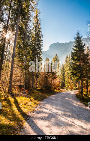 L'automne est à venir dans les Alpes italiennes Banque D'Images