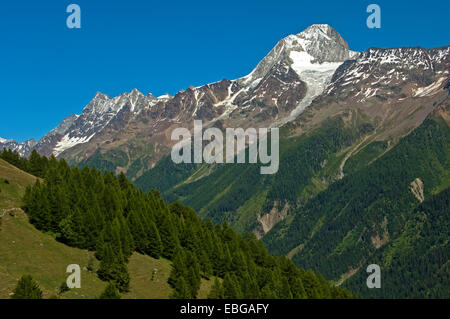 Mt Bietschhorn se lever au-dessus de la limite de la forêt, Lötschental, Canton du Valais, Suisse Banque D'Images