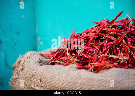 Piments rouges dans un sac contre un mur turquoise, Bassi, Rajasthan, Inde Banque D'Images