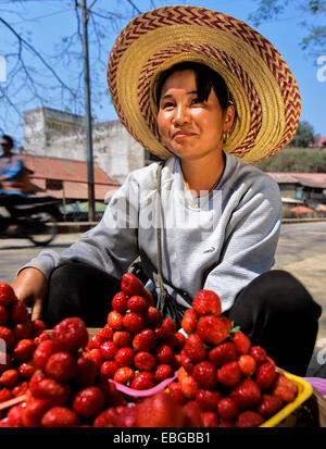 Jeune femme avec des fraises fraîches dans un marché, la province de Chiang Rai, dans le Nord de la Thaïlande, Thaïlande Banque D'Images