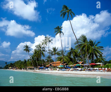 Des palmiers et des parasols sur la plage de Chaweng, Golfe de Thaïlande, Ko Samui, Thaïlande du Sud, Thaïlande Banque D'Images