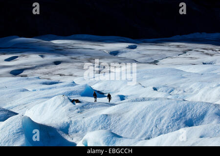 Les glaciéristes sur glacier Grey, Parc National Torres del Paine, Chili Banque D'Images